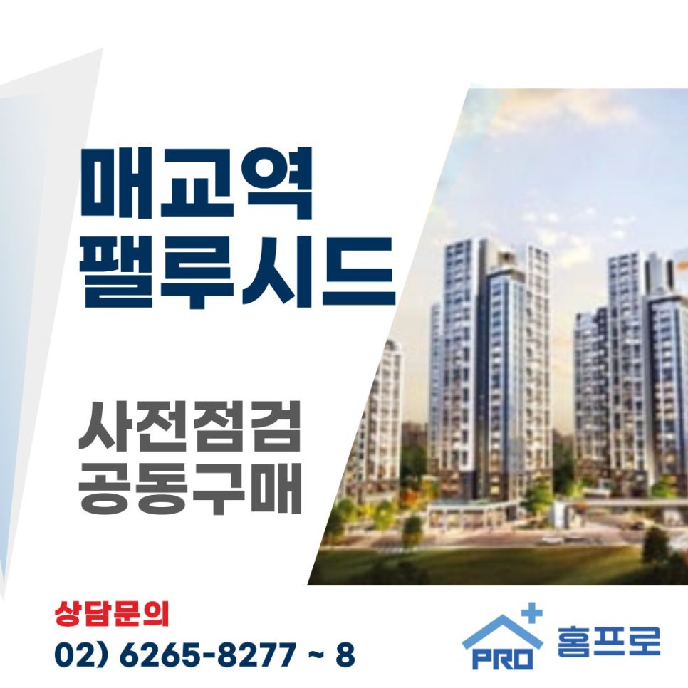 매교역 팰루시드 사전점검 공동구매